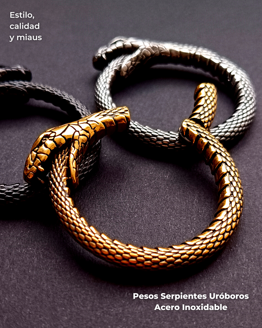 REP Pesos para Expansion Acero Inoxidable - Serpiente Uróboros (6mm;38mm) (34,5grs)