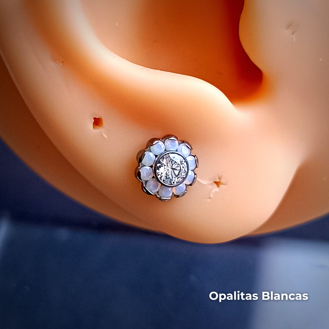 NEW Labret (HC) Titanio ASTM F-136 - Flores 10 Petalos (1,2mm;8mm) (16G)