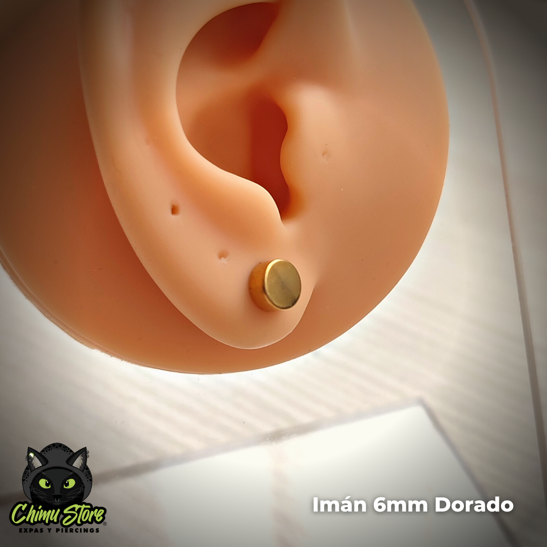 Imanes Acero Inoxidable - Tamaño 6mm