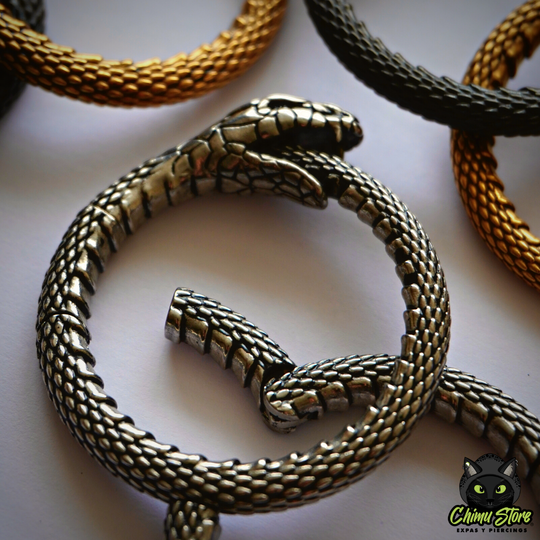REP Pesos para Expansion Acero Inoxidable - Serpiente Uróboros (6mm;38mm) (34,5grs)