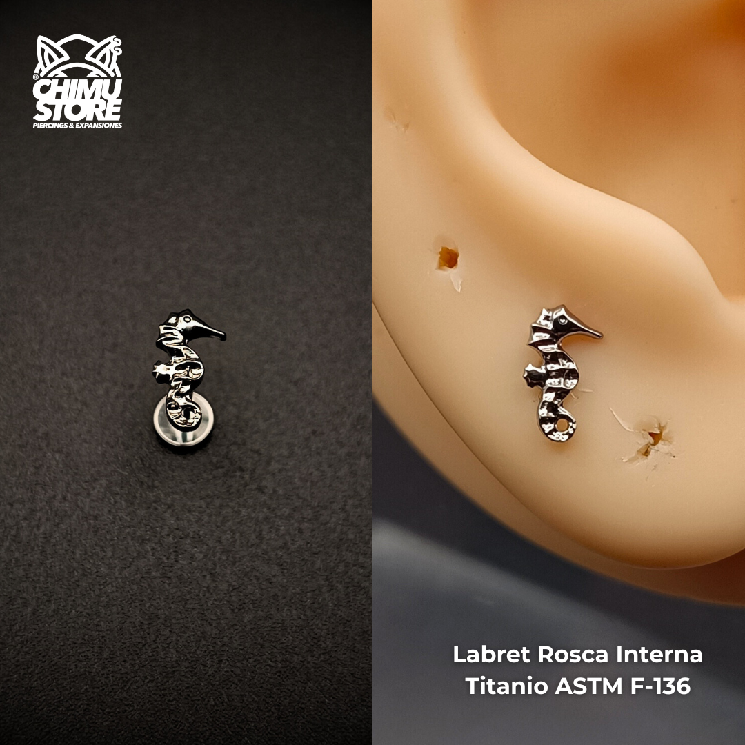 NEW Labret Rosca Interna (HC) Titanio ASTM F-136 - Caballito de Mar (1,2mm;8mm) (16G)