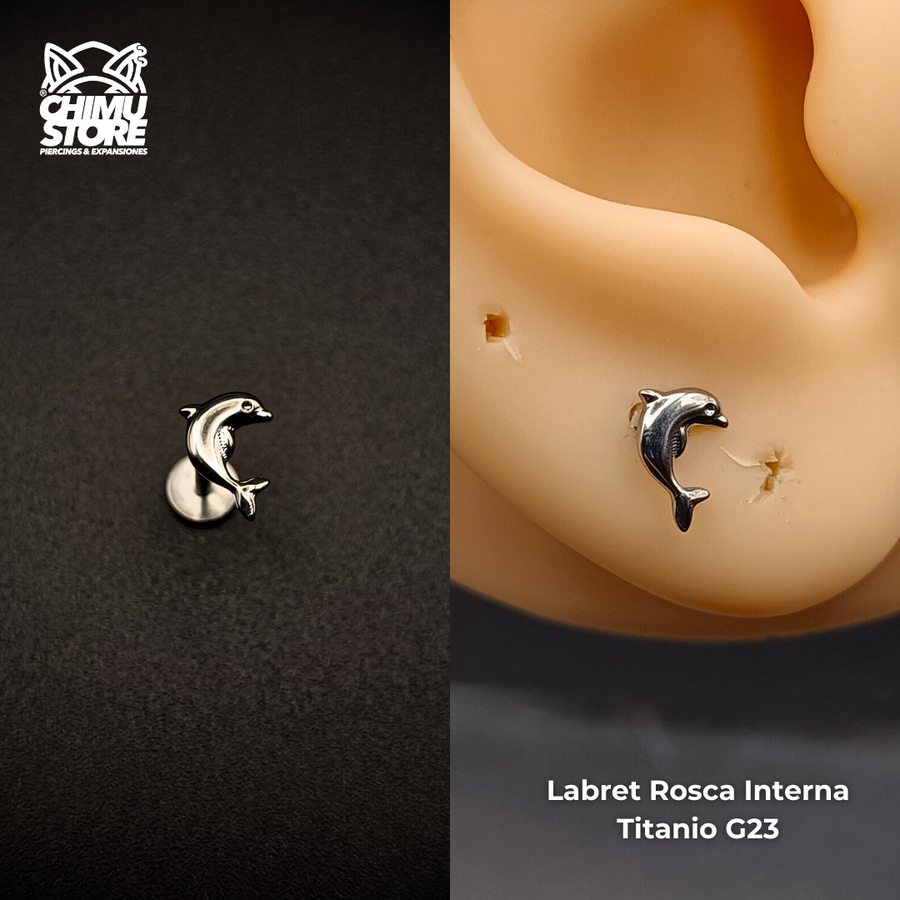 NEW Labret (HC) Titanio G23 - Delfin (1,2mm) (16G)