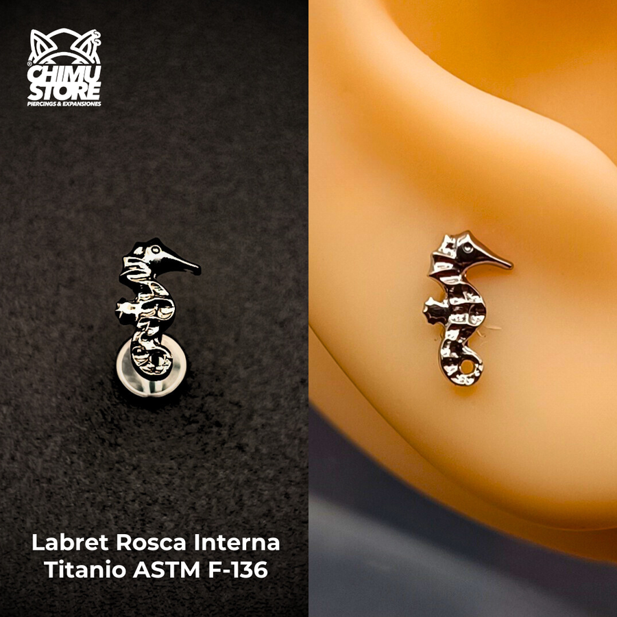 Labret Rosca Interna (HC) Titanio ASTM F-136 - Caballito de Mar (1,2mm;8mm) (16G)