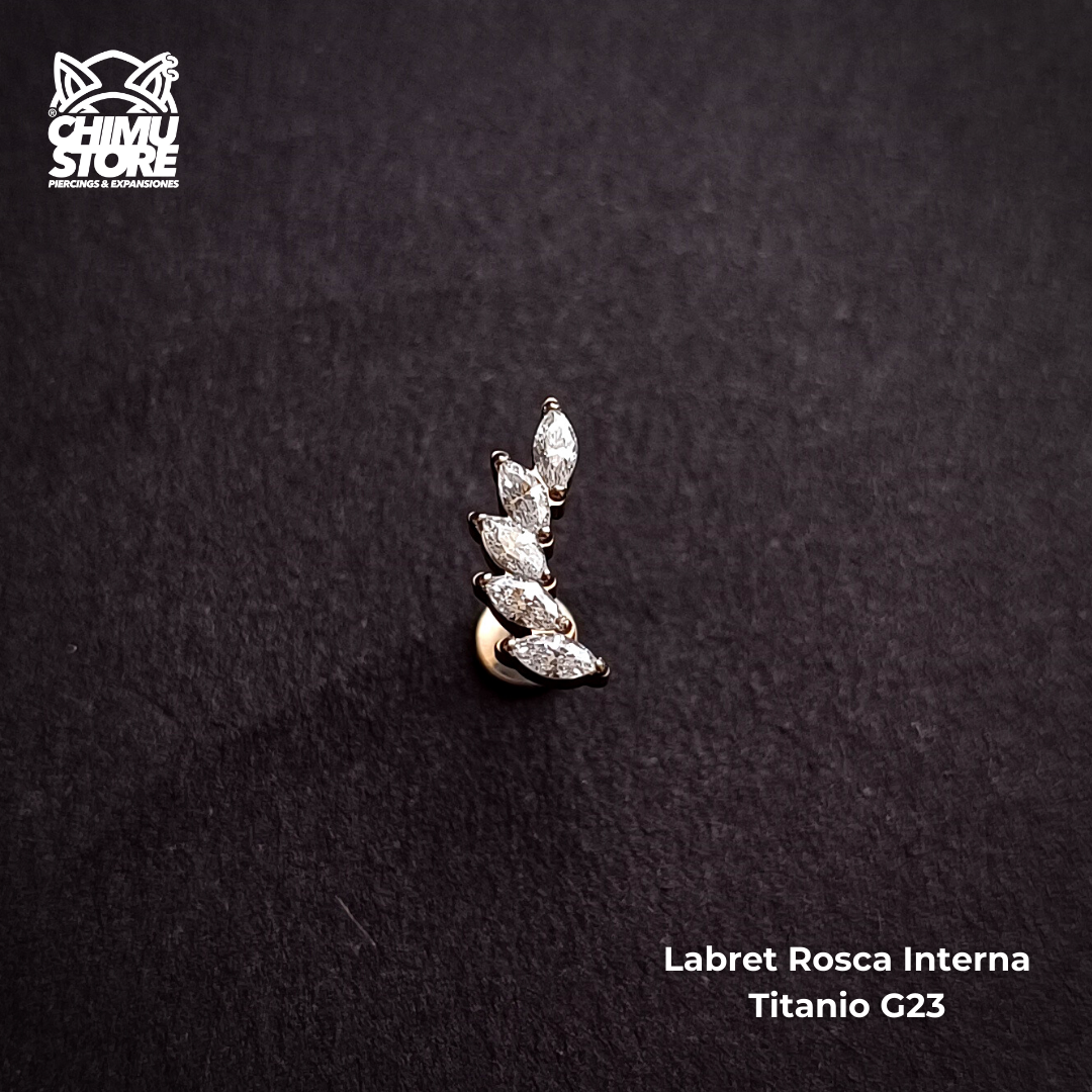NEW Labret Titanio G23 - Ala de 5 Zirconias (1,2mm;8mm) (16G)