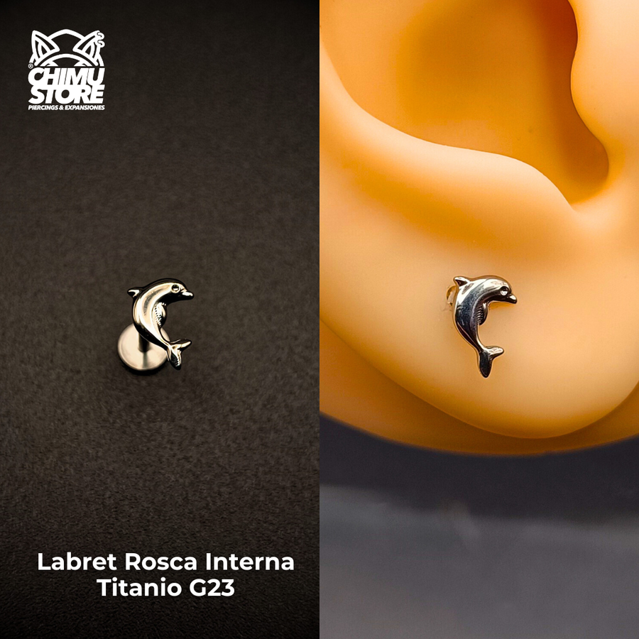Labret (HC) Titanio G23 - Delfin (1,2mm) (16G)