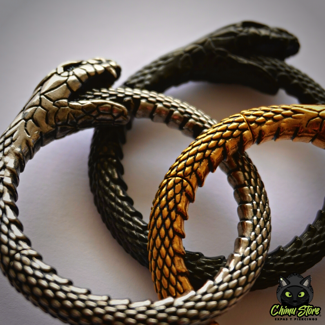 REP Pesos para Expansion Acero Inoxidable - Serpiente Uróboros (6mm;38mm) (34,5grs)