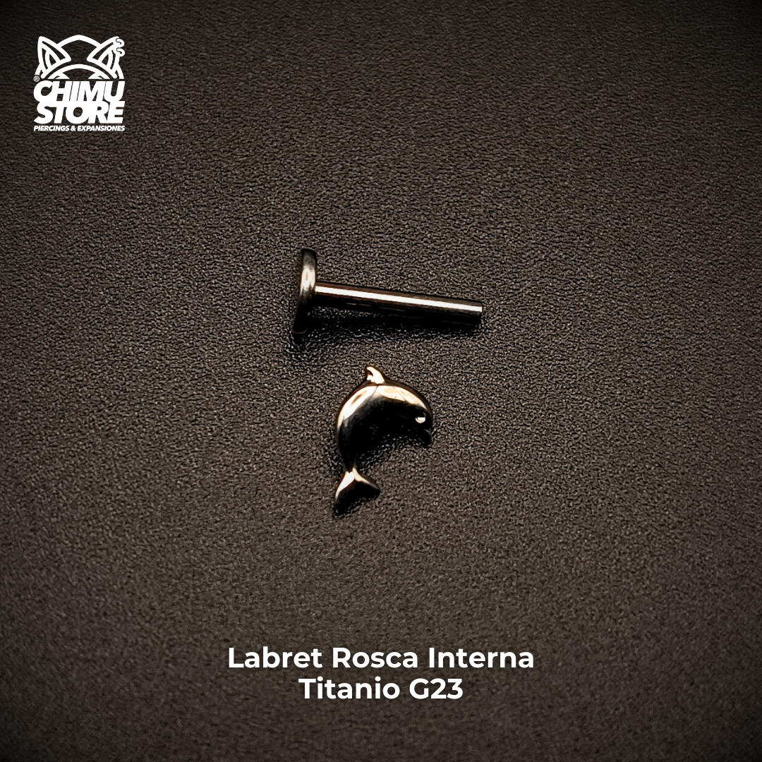 Labret (HC) Titanio G23 - Delfin (1,2mm) (16G)