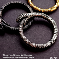 REP Pesos para Expansion Acero Inoxidable - Serpiente Uróboros (6mm;38mm) (34,5grs)