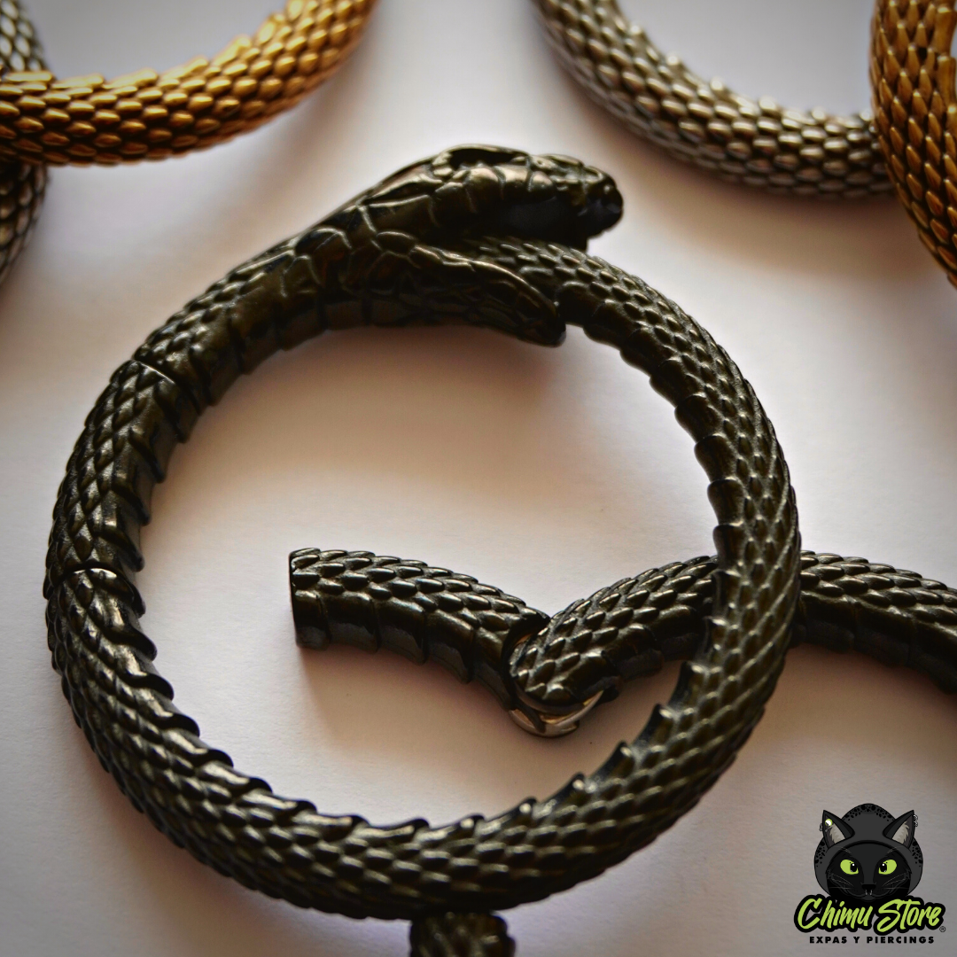 REP Pesos para Expansion Acero Inoxidable - Serpiente Uróboros (6mm;38mm) (34,5grs)