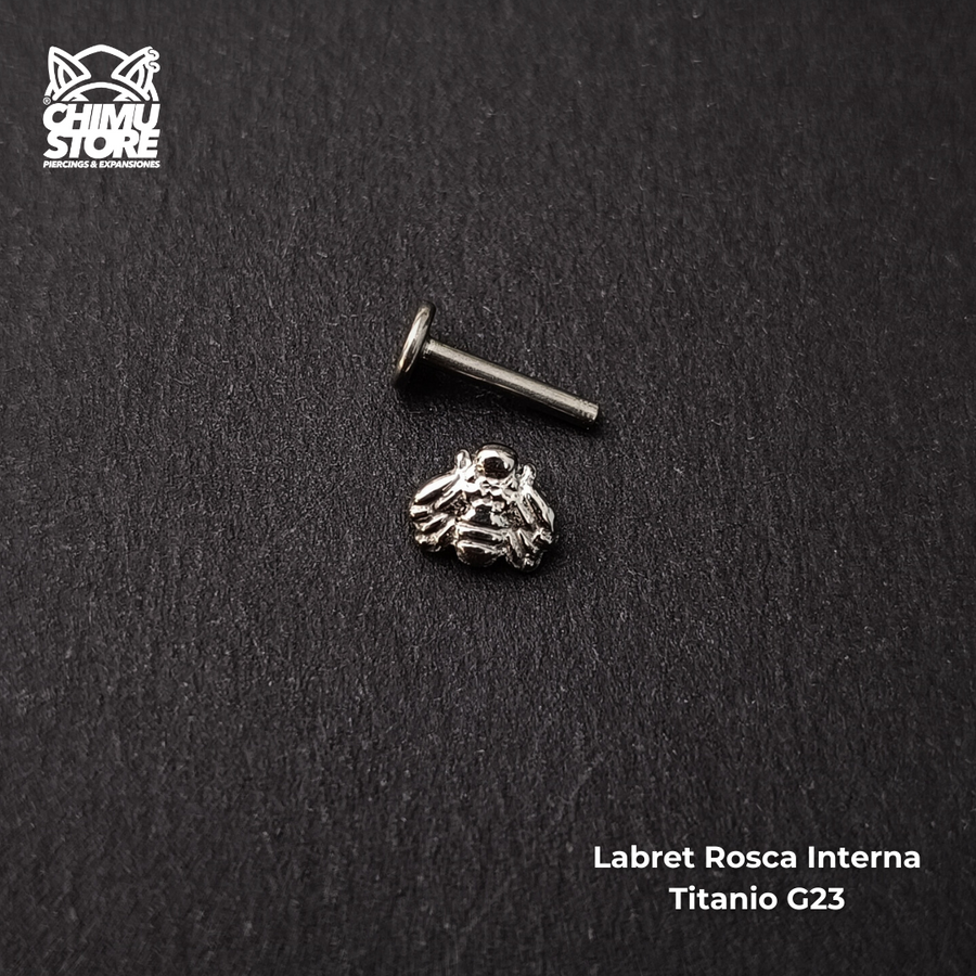 NEW Labret Titanio G23 - Abejita (1,2mm;8mm) (16G)