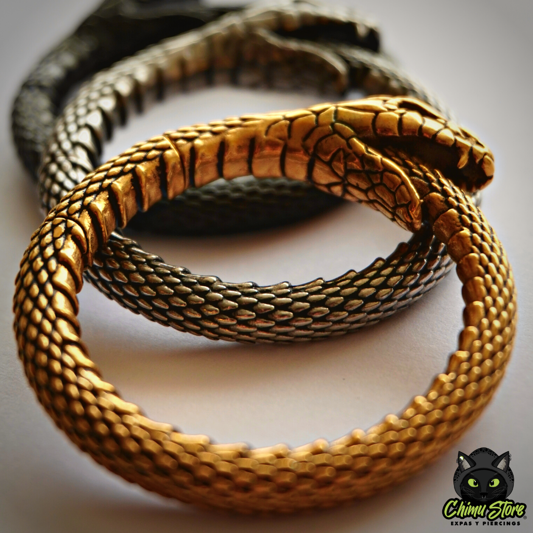 REP Pesos para Expansion Acero Inoxidable - Serpiente Uróboros (6mm;38mm) (34,5grs)