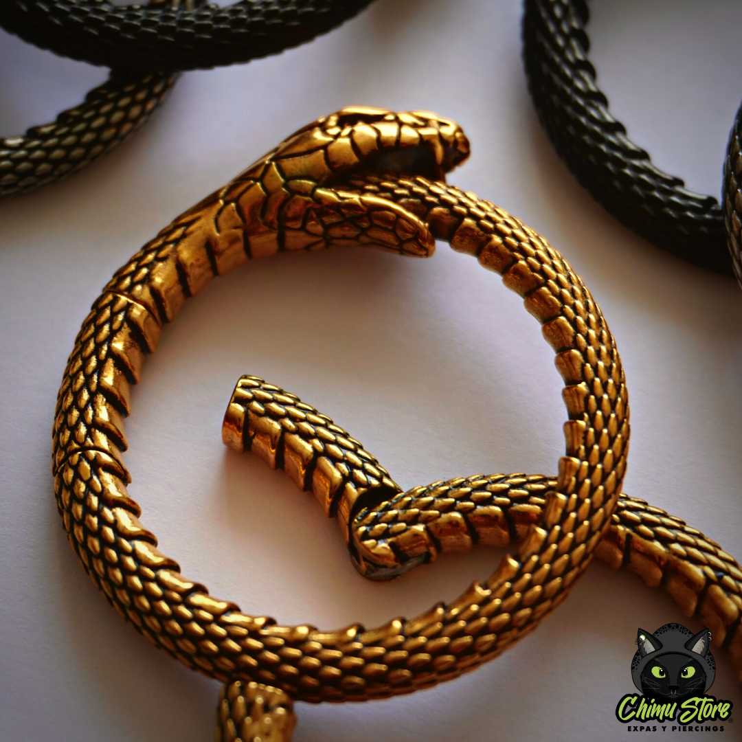 REP Pesos para Expansion Acero Inoxidable - Serpiente Uróboros (6mm;38mm) (34,5grs)