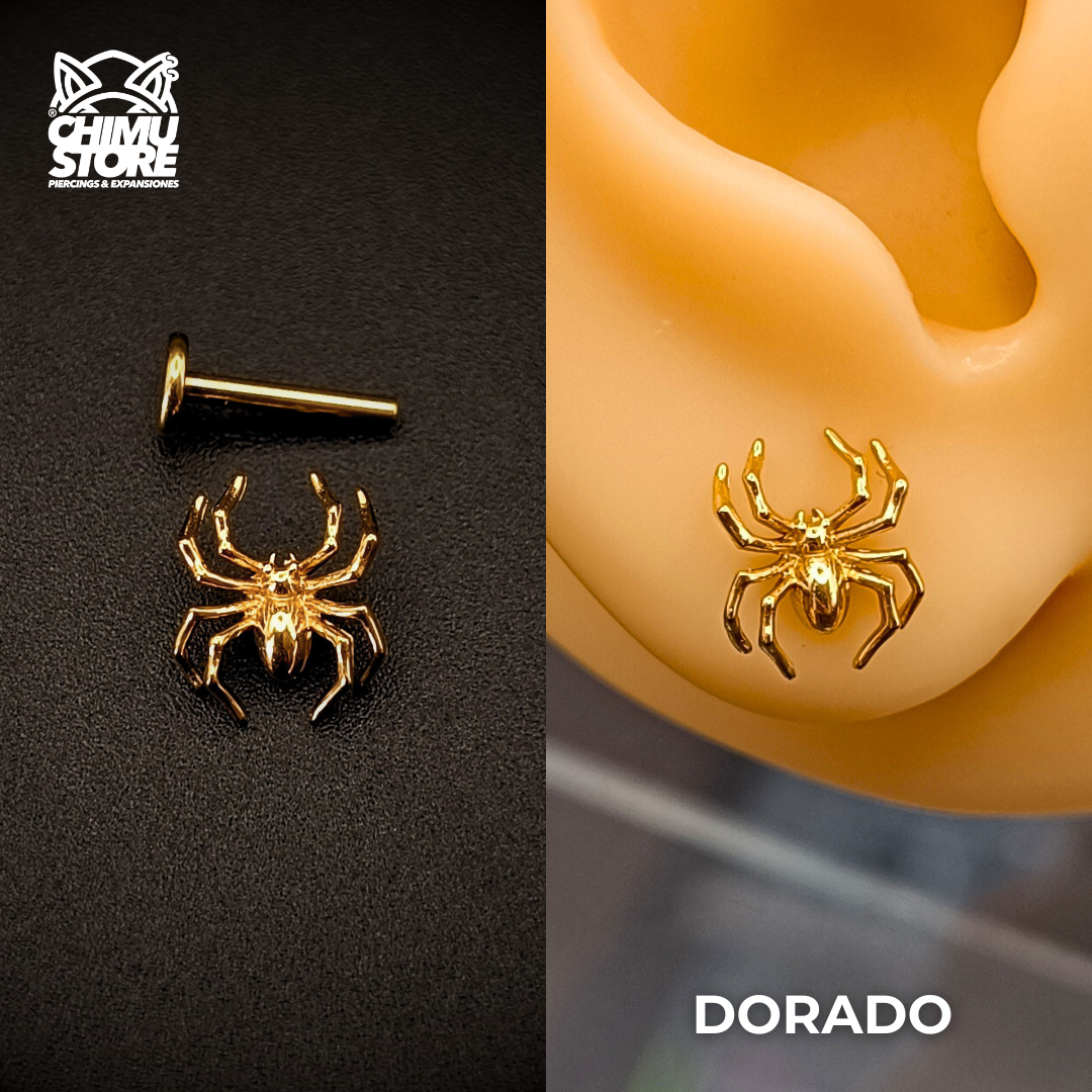 NEW Labret (HC) Titanio ASTM F-136 - Araña 002 (1,2mm;8mm) (16G)