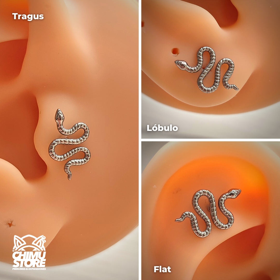 Labret Titanio ASTM F-136 - Curved Snake (1,2mm;8mm) (16G)