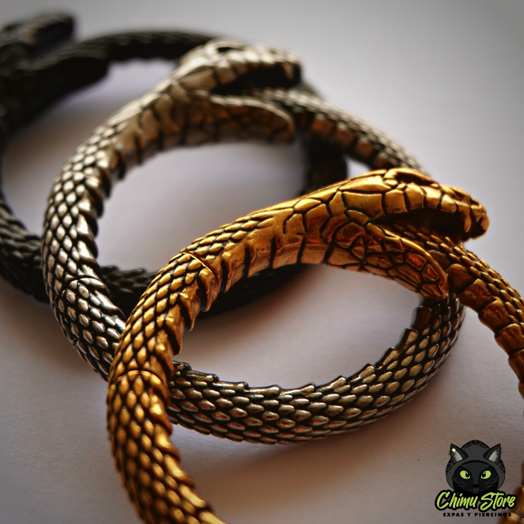 REP Pesos para Expansion Acero Inoxidable - Serpiente Uróboros (6mm;38mm) (34,5grs)