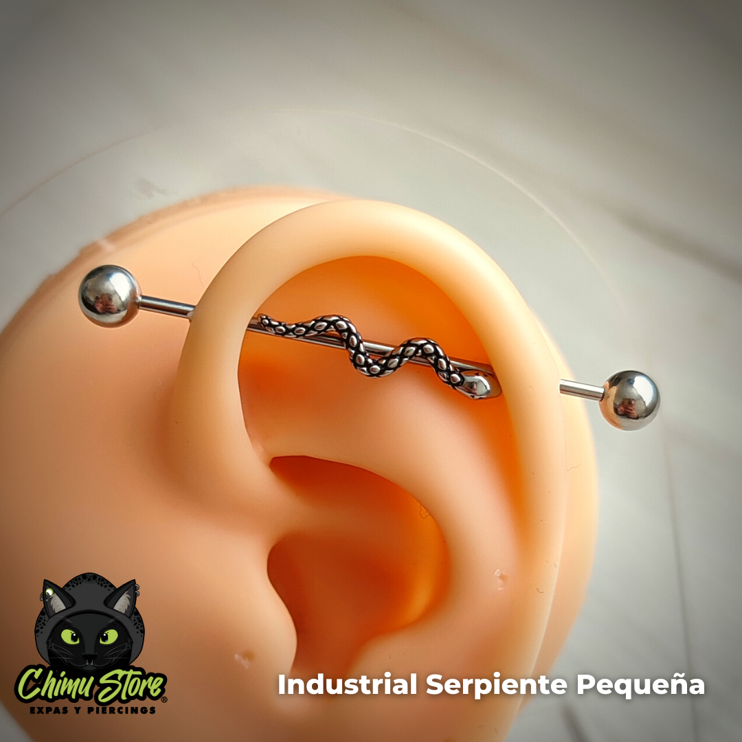 Industrial Oreja Acero Inoxidable - Serpiente Pequeña (1,2mm;38mm;5*5) (16G)