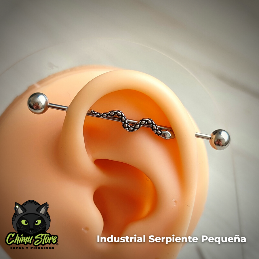 Industrial Oreja Acero Inoxidable - Serpiente Pequeña (1,2mm;38mm;5*5) (16G)