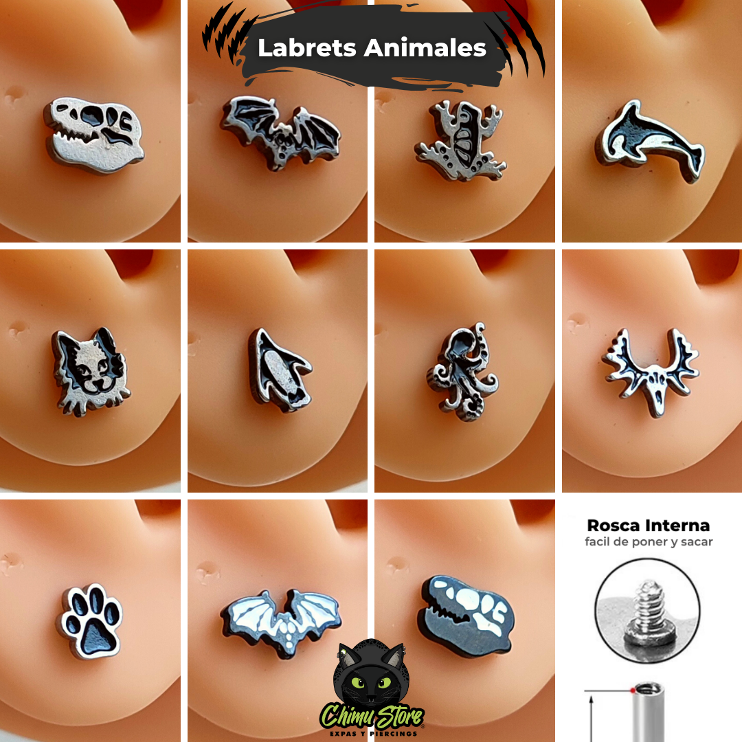 Labret Rosca Interna Acero Inoxidable - Animales (1,2mm;8mm) (16G)
