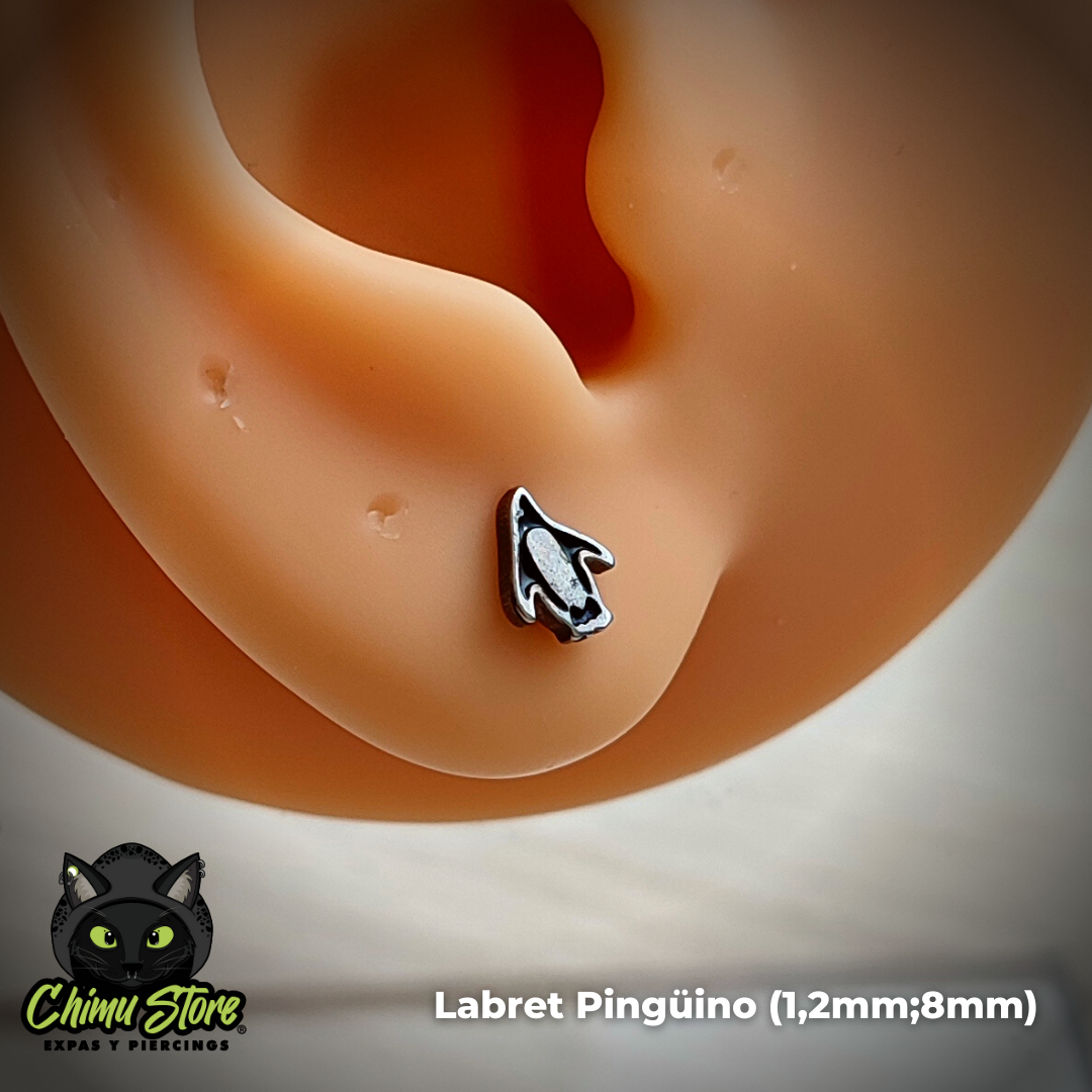 Labret Rosca Interna Acero Inoxidable - Animales (1,2mm;8mm) (16G)