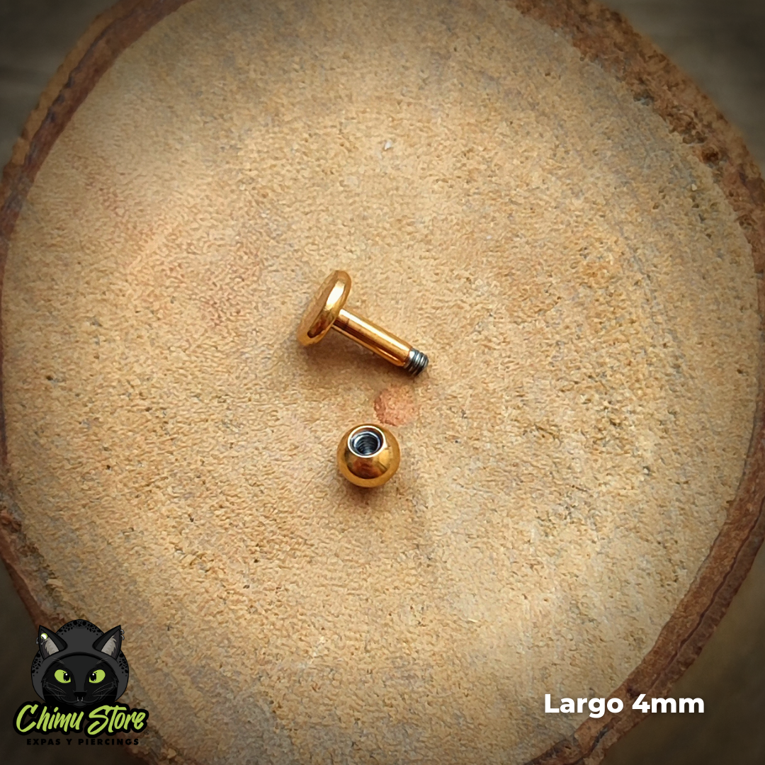 Labret Dorado Titanio G23 - Bolitas 3mm (5 Largos de Barra) (1,2mm) (16G)